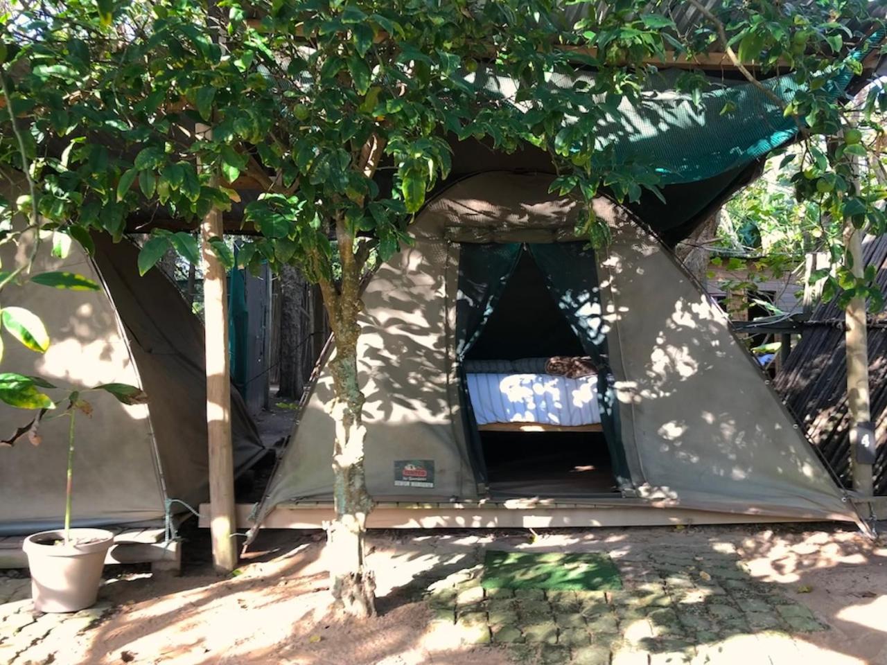 The Riverdeck Accommodation And Backpackers Knysna Extérieur photo